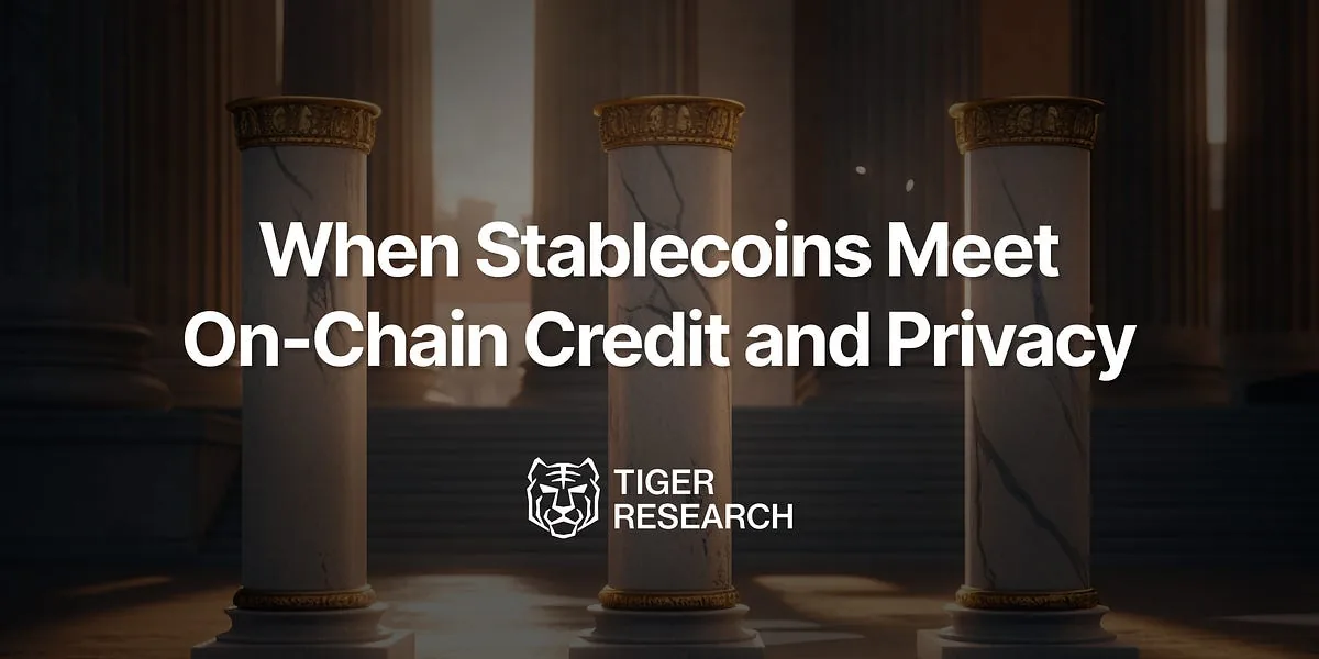 When Stablecoins Meet On-Chain Credit and Privacy