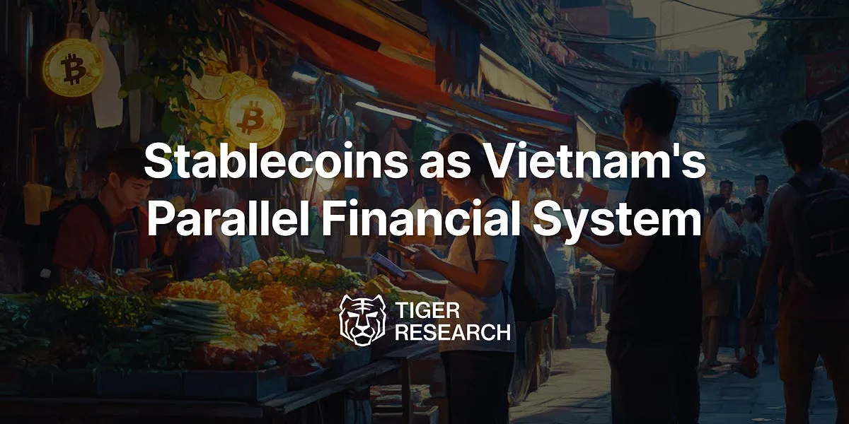 Stablecoins as Vietnam's Parallel Financial System